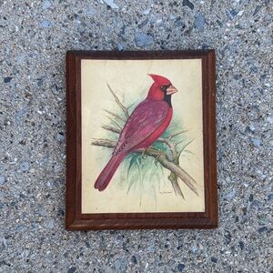 Cardinal Bird Art Print mounted to solid wood plaque and vanished. Vintage